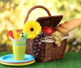 Basket with products for picnic Stock Photo 01