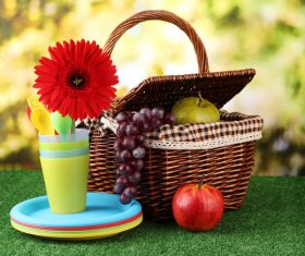 Basket with products for picnic Stock Photo 02