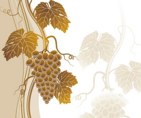 Beige grapes background vector