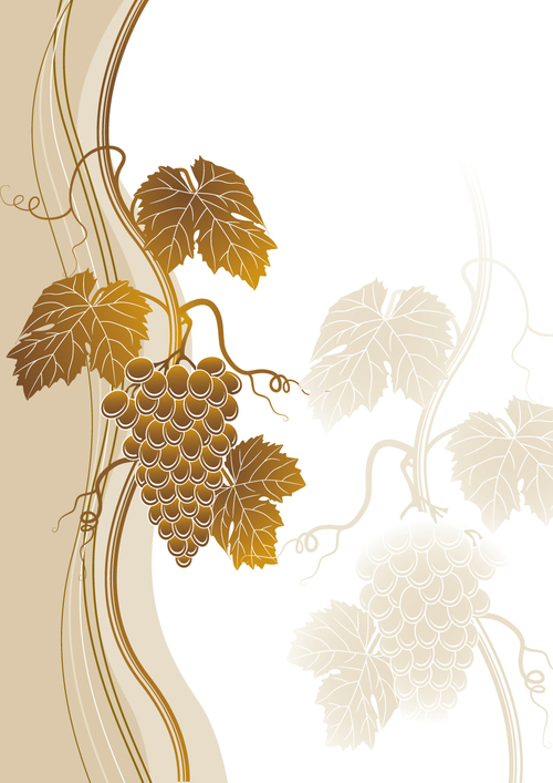 Beige grapes background vector