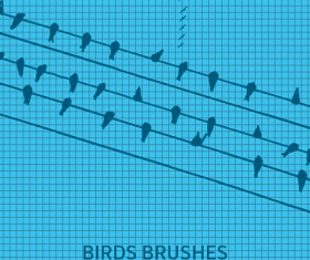 Birds Photoshop Brushes