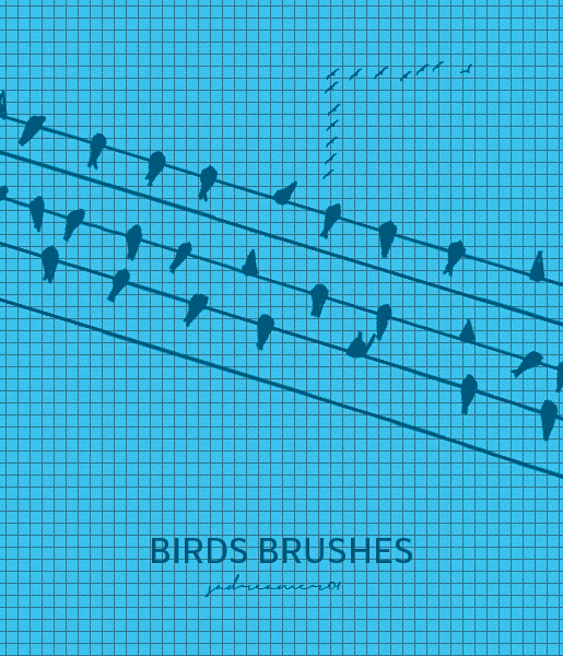 Birds Photoshop Brushes