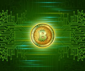 Bitcoin business infographic vector template 01