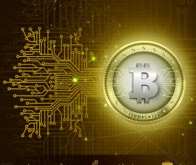 Bitcoin business infographic vector template 09