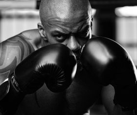 Boxer training Stock Photo 01