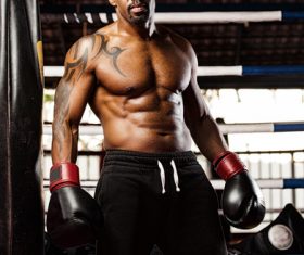 Boxer training Stock Photo 02