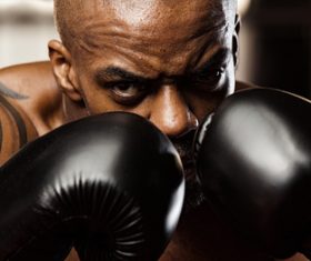 Boxer training Stock Photo 03