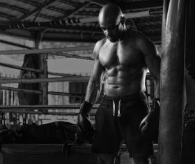 Boxer training Stock Photo 04