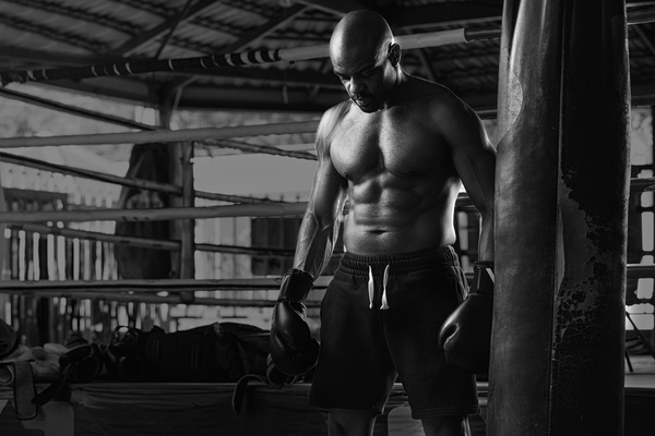 Boxer training Stock Photo 04
