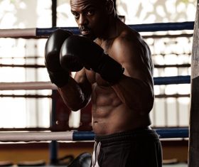 Boxer training Stock Photo 05