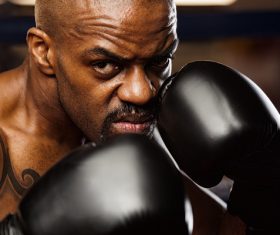 Boxer training Stock Photo 06