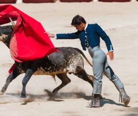 Brave Matador Stock Photo 01
