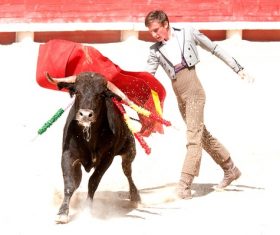 Brave Matador Stock Photo 03