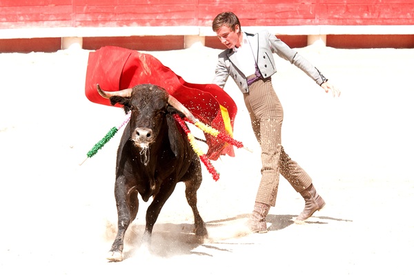 Brave Matador Stock Photo 03