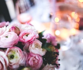Closeup of Beautiful Pink Flowers Stock Photo