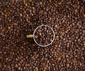 Coffee cup and coffee beans Stock Photo