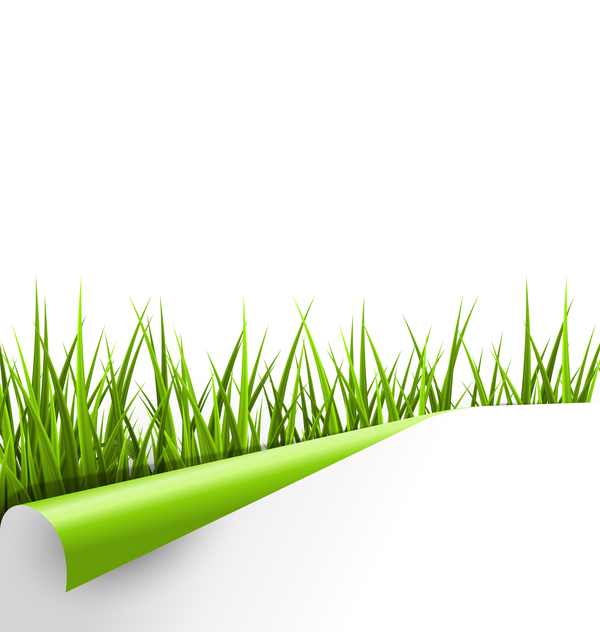 Curled paper with grass vector