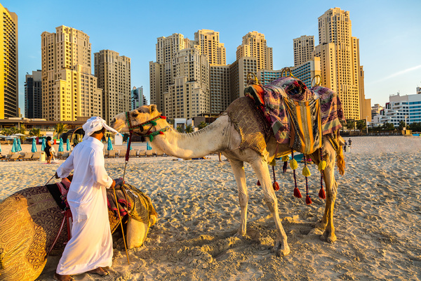 Dubai Beach ride camel experience Stock Photo 02