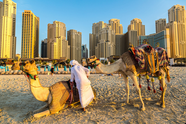 Dubai Beach ride camel experience Stock Photo 04