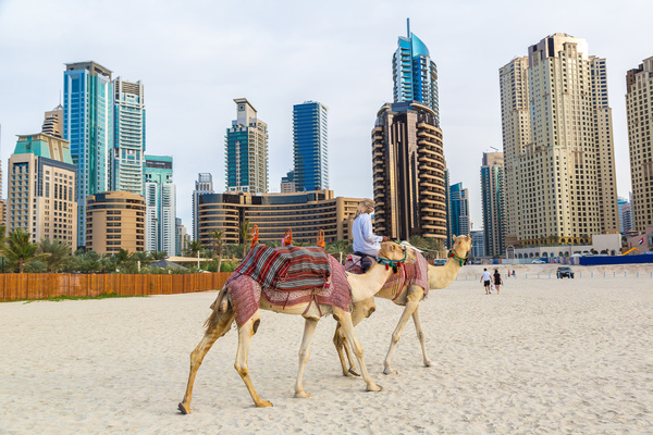 Dubai Beach ride camel experience Stock Photo 10