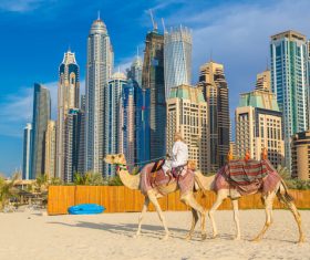Dubai Beach ride camel experience Stock Photo 15
