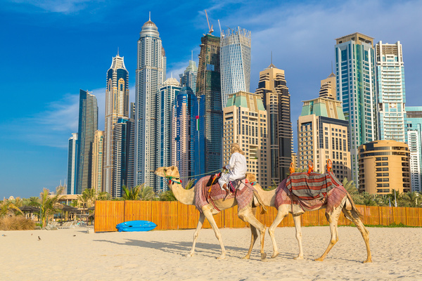 Dubai Beach ride camel experience Stock Photo 15