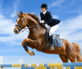 Equestrian Disorder competition Stock Photo
