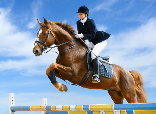 Equestrian Disorder competition Stock Photo