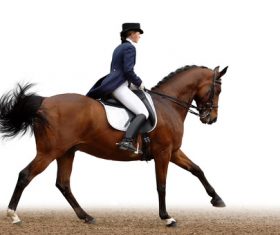 Equestrian performer Stock Photo 01