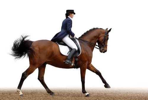 Equestrian performer Stock Photo 01