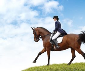 Equestrian performer Stock Photo 02