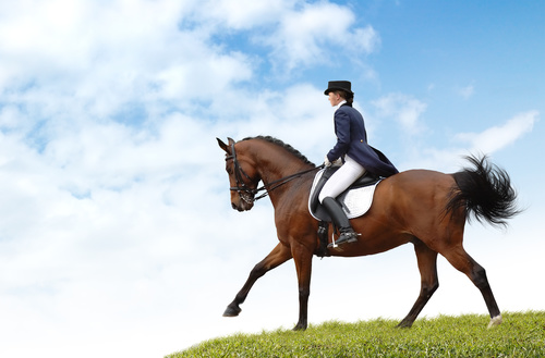 Equestrian performer Stock Photo 02