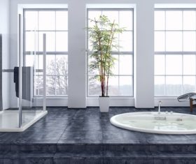 Exclusive Luxury Bathroom Interior Stock Photo 03