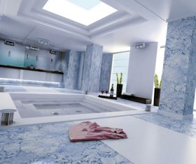 Exclusive Luxury Bathroom Interior Stock Photo 06