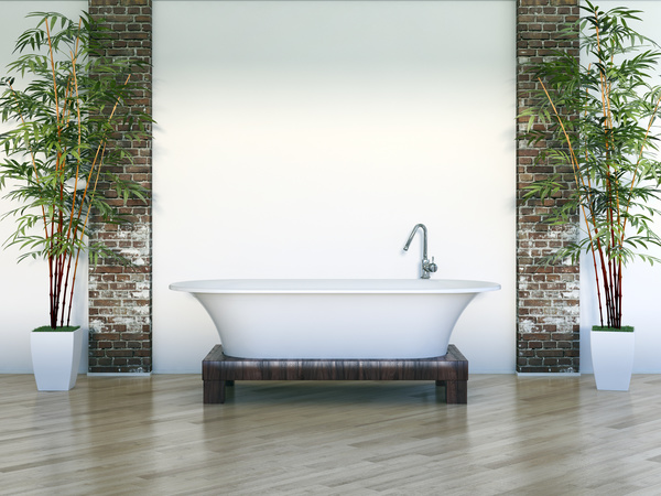 Exclusive Luxury Bathroom Interior Stock Photo 07