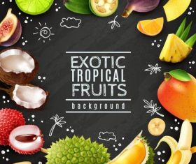 Exotic tropical fruits background vector