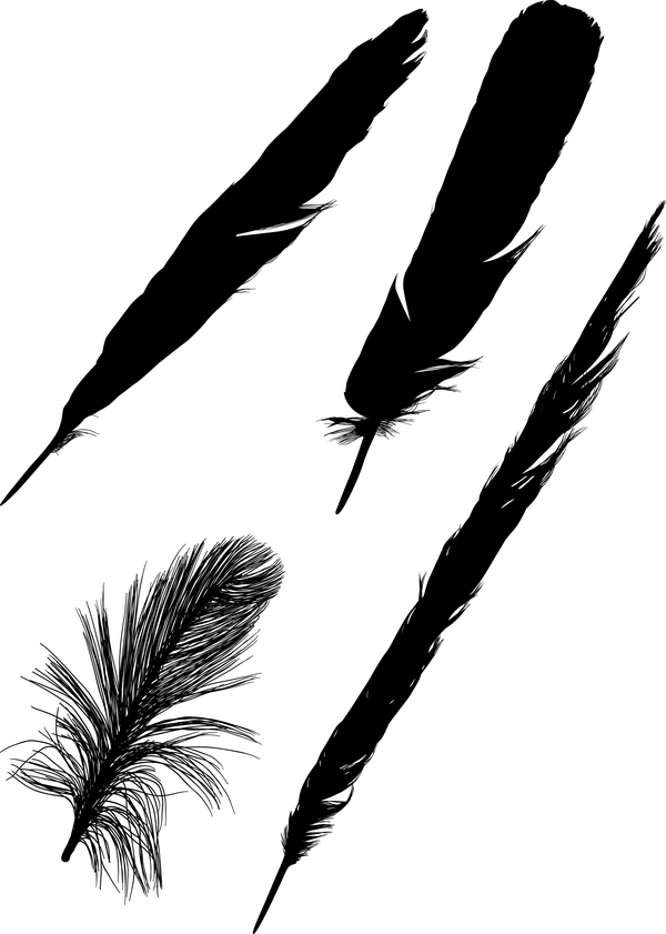 Feather silhouette vector set  01