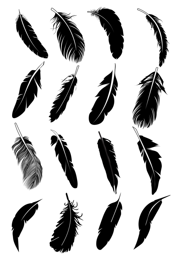 Feather silhouette vector set  02
