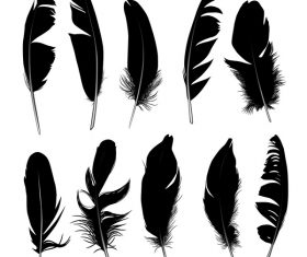 Feather silhouette vector set  04