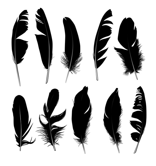 Feather silhouette vector set  04