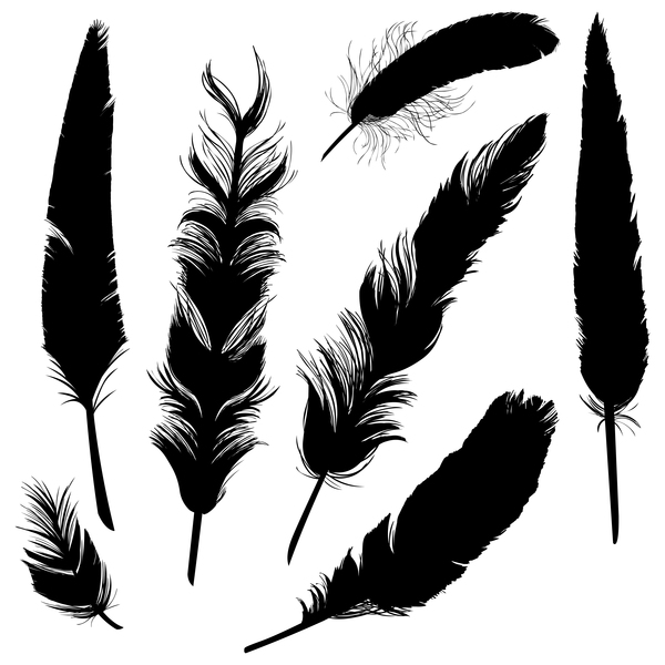 Feather silhouette vector set  06
