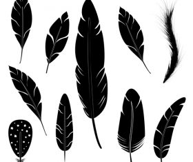 Feather silhouette vector set  07