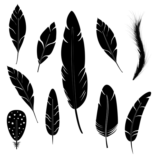 Feather silhouette vector set  07