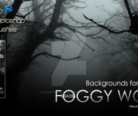Foggy Woods Photoshop Brushes