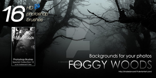 Foggy Woods Photoshop Brushes