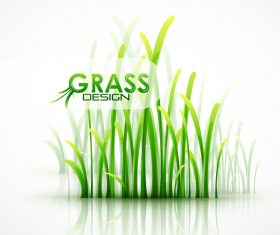 Fresh green grass background design vector 01