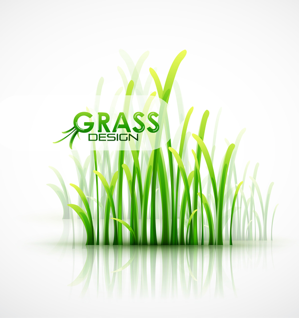 Fresh green grass background design vector 01