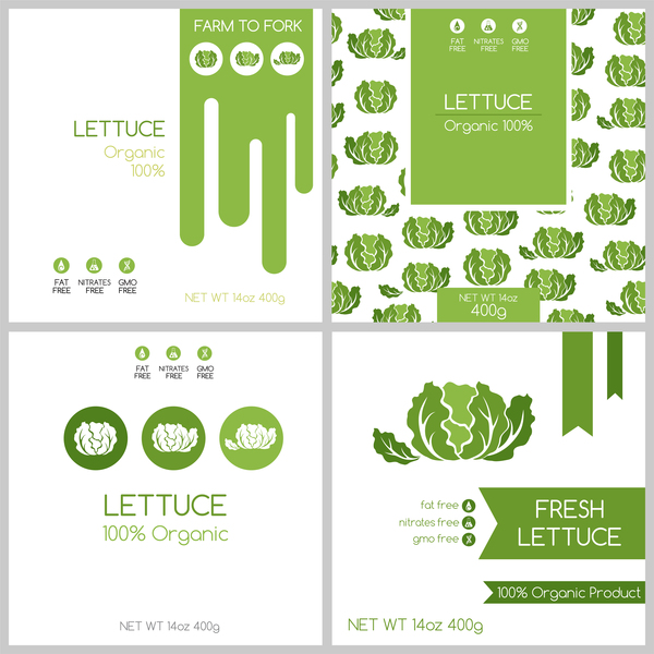 Fresh lettuce package box template vector