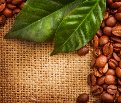 Grains of coffee with leaves Stock Photo  (2)