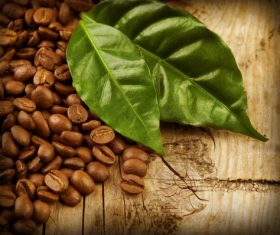 Grains of coffee with leaves Stock Photo  (3)